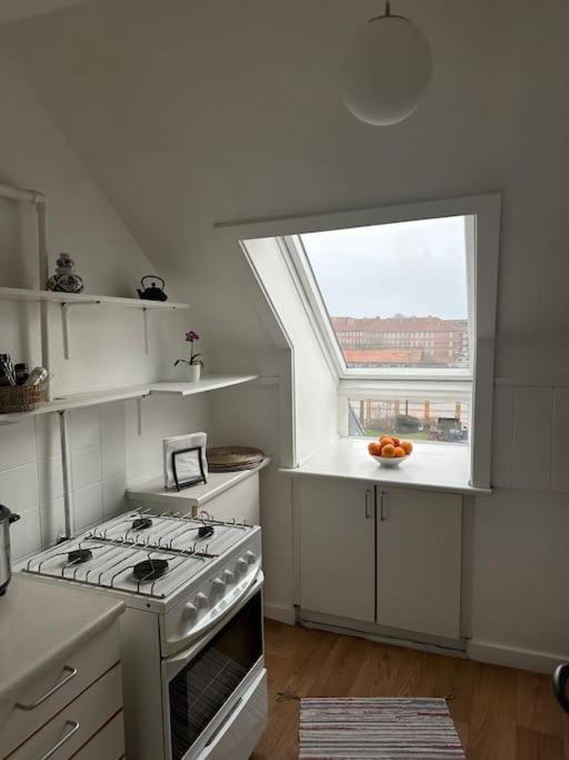 Apartment Elegant With Penthouse View In Cph Copenhagen