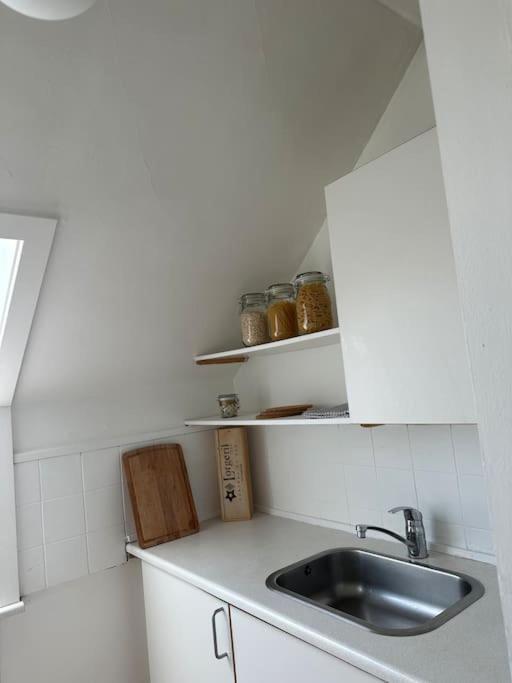 Elegant With Penthouse View In Cph Apartment